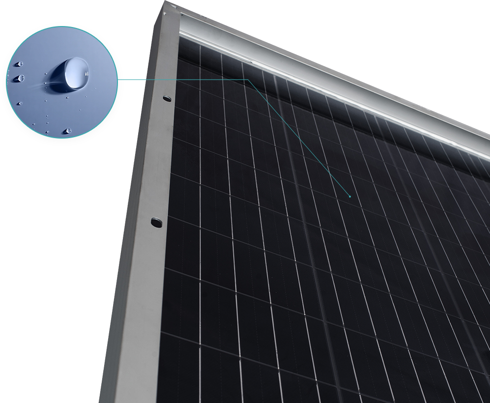 新利体育·luck18(中国)官方网站